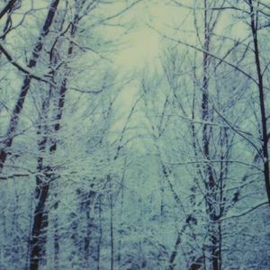 Meet your Posher, India